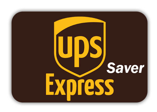 UPS Express Saver Deutschland
