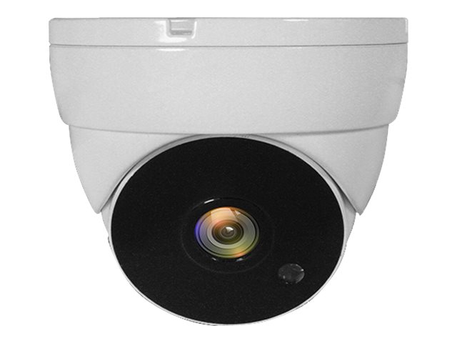 LevelOne ACS-5302 - Überwachungskamera - Kuppel - wetterfest - Farbe (Tag&Nacht)