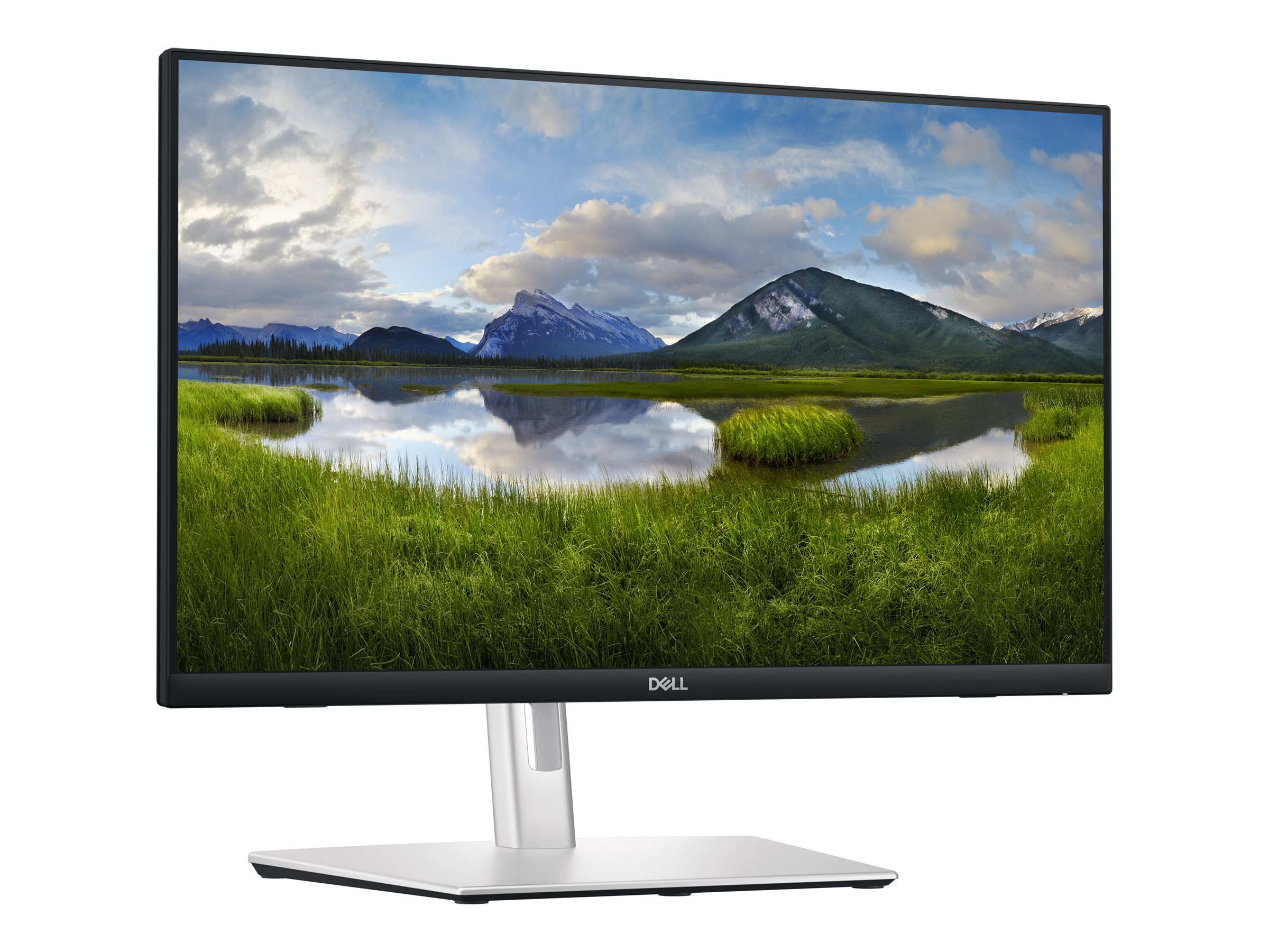 Dell P2424HT - LED-Monitor - 61 cm (24 in) (23.8 in sichtbar)