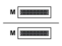 Arista Direktanschlusskabel - SFP+ (M) zu SFP+ (M)